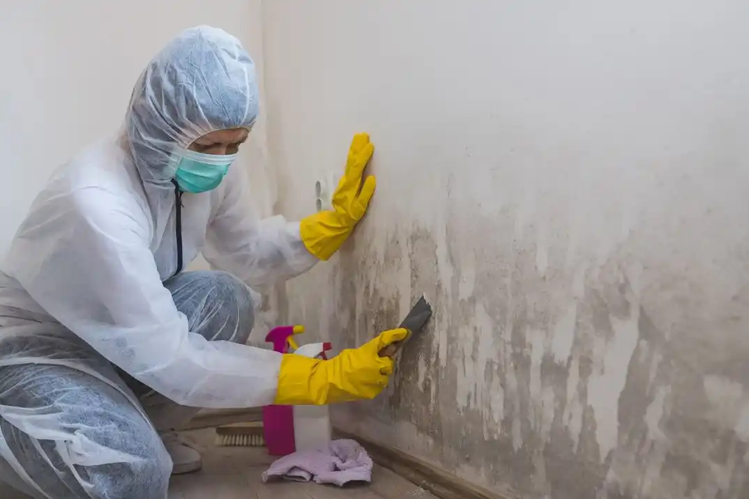 water damage restoration service University Hills